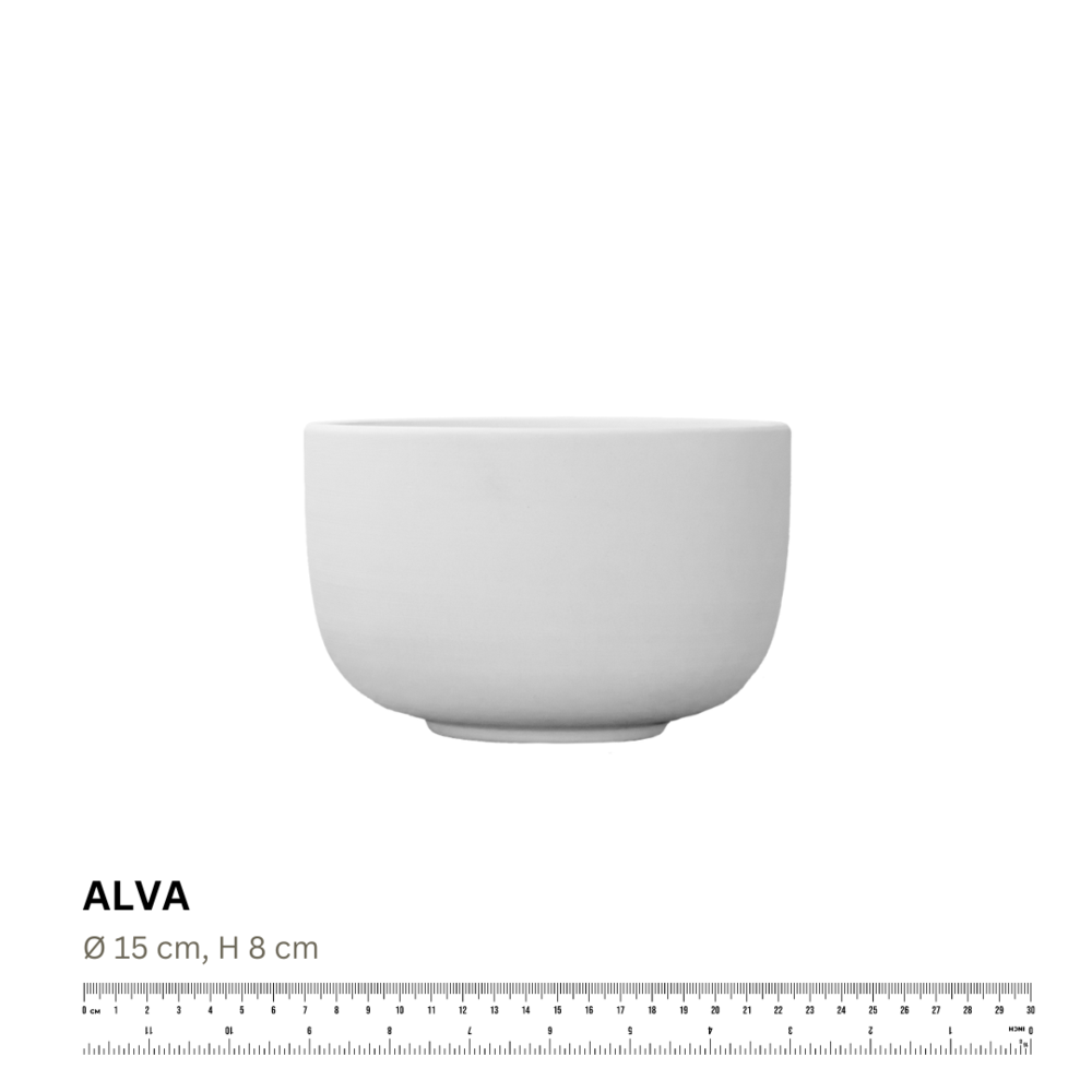 Koffer2go ALVA Basic Schüssel - 28 EUR