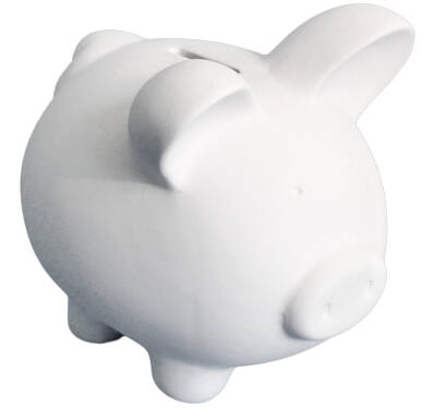 Koffer2go Sparschwein LISE 14 x 11  - 28 EUR